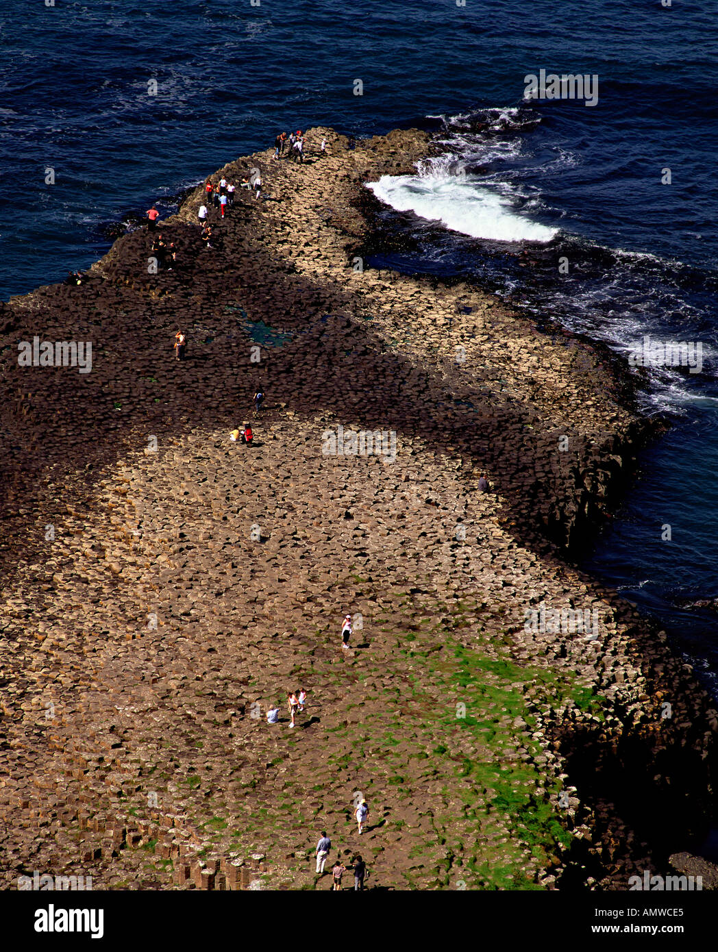 Giant's Causeway Co Antrim Irlanda del Nord Foto Stock