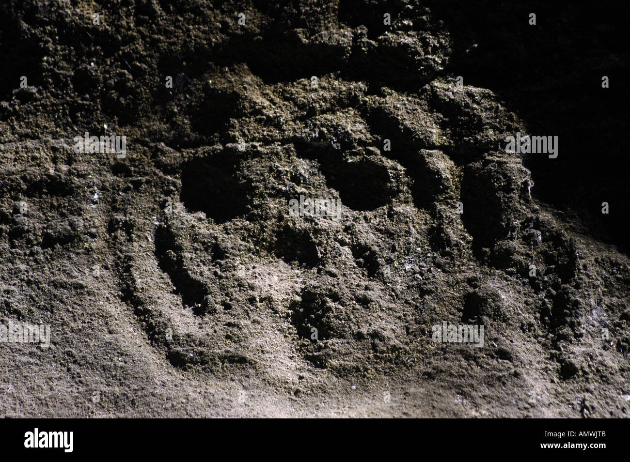 St Kitts Carib indiani Petroglyph sito storico Foto Stock