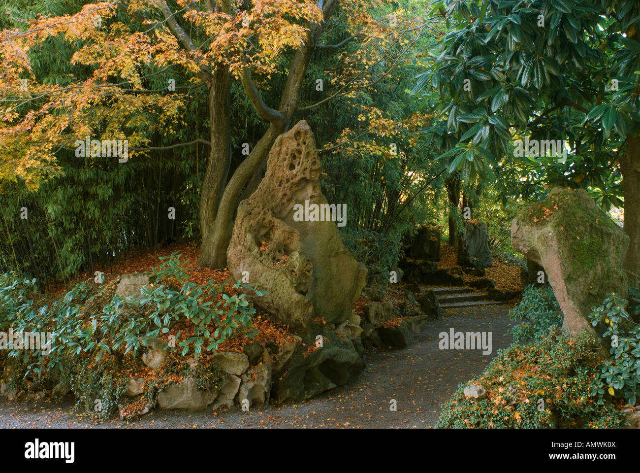 Dr Sun Yat Sen classico giardino Cinese in autunno a Vancouver British Columbia Canada 2007 Foto Stock Dr Sun Yat Sen classico giardino Cinese in autunno a Vancouver British Columbia Canada 2007 Foto Stock