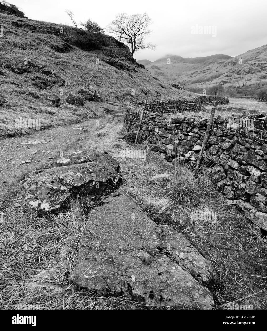 Raccolto di quadrati di nero e di bianco Lake District percorso, Langdale valley, Lake District, Inghilterra Foto Stock