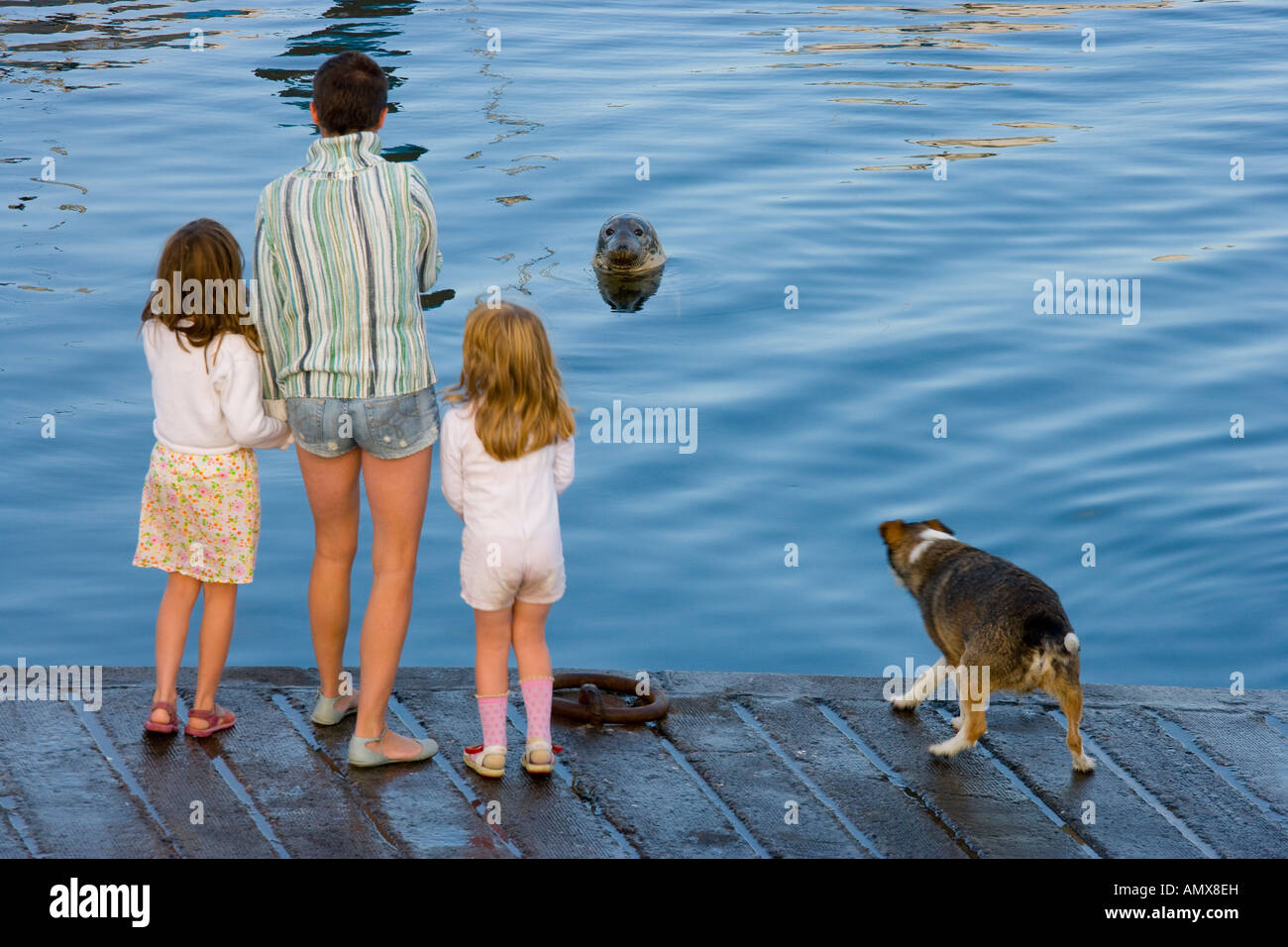 Donna con le sue due figlie e il loro cane in piedi accanto al bordo delle acque la visione di una guarnizione di tenuta Foto Stock