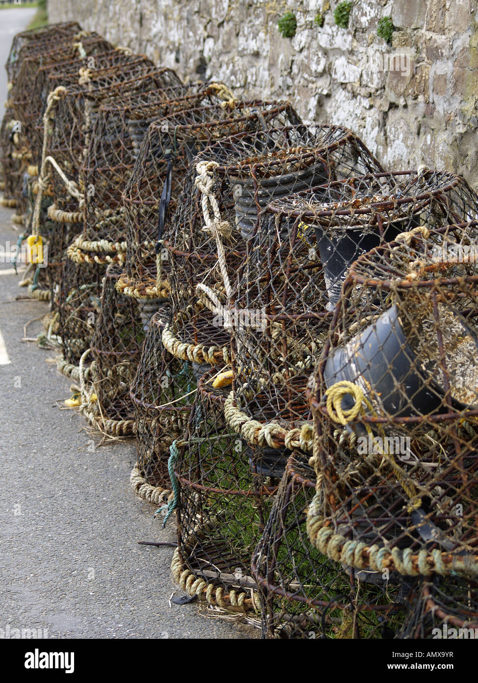 Lobster Pot schierate contro un muro di pietra Foto Stock