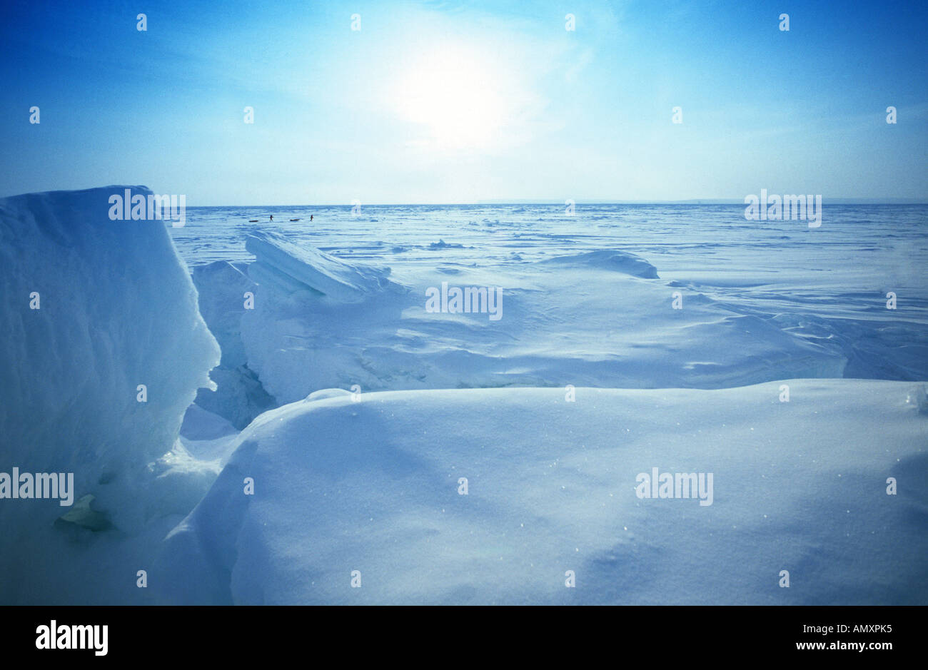 David Hempleman Adams sul congelati dei mari artici. Foto Stock