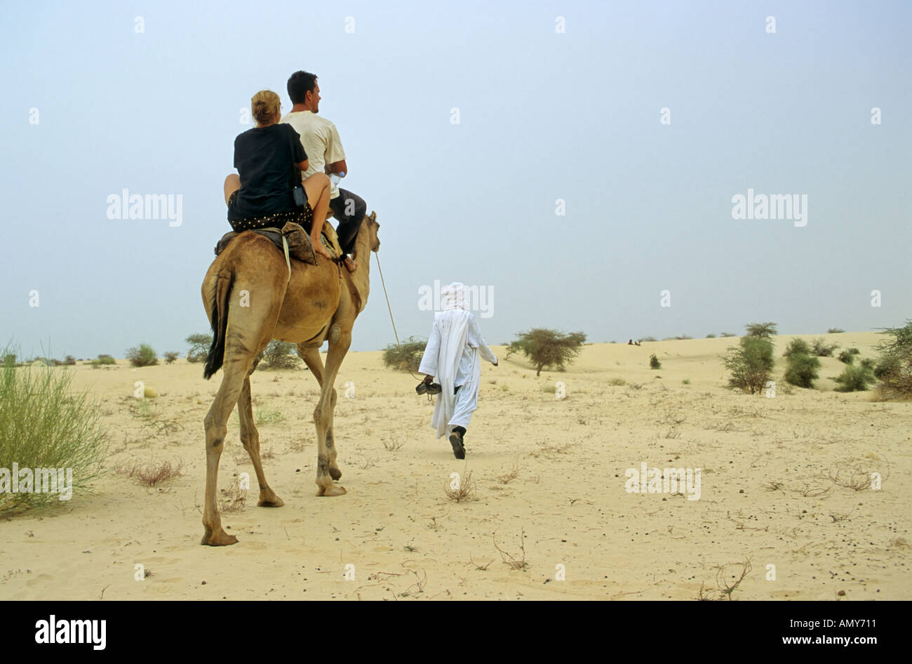 Turista corsa in cammello, Timbuktu (Tombouctou), Mali Foto Stock