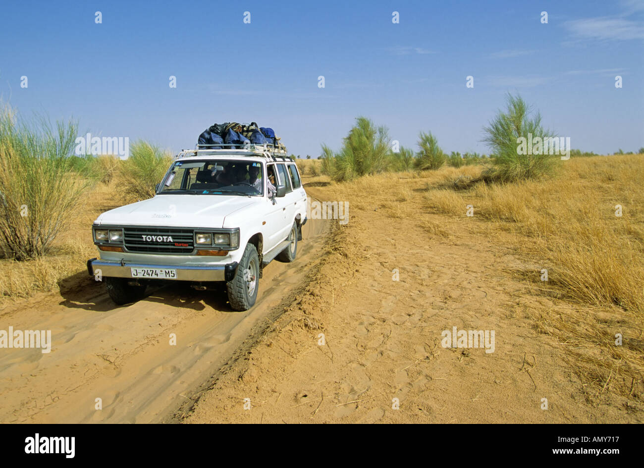 Guidando attraverso il Sahel sul bordo del deserto del Sahara, vicino a Timbuctù (Tombouctou), Mali Foto Stock