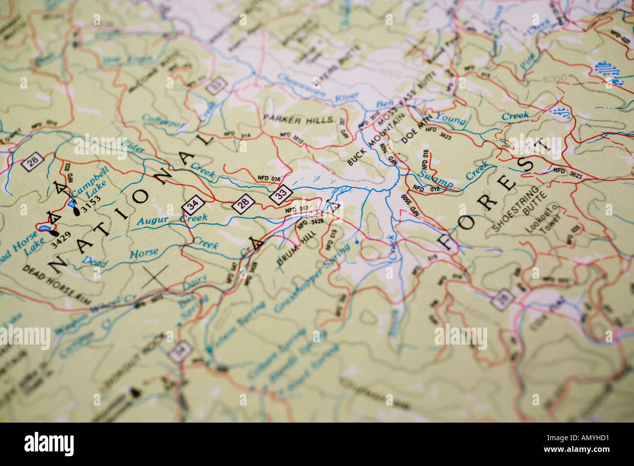 Mappa su carta della Foresta Nazionale di terre con strade Oregon stato USA Foto Stock
