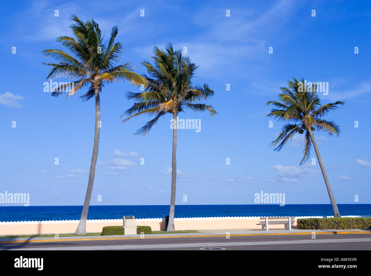 Il Boardwalk lungo acqua in Palm Beach, Florida, Stati Uniti d'America Foto Stock