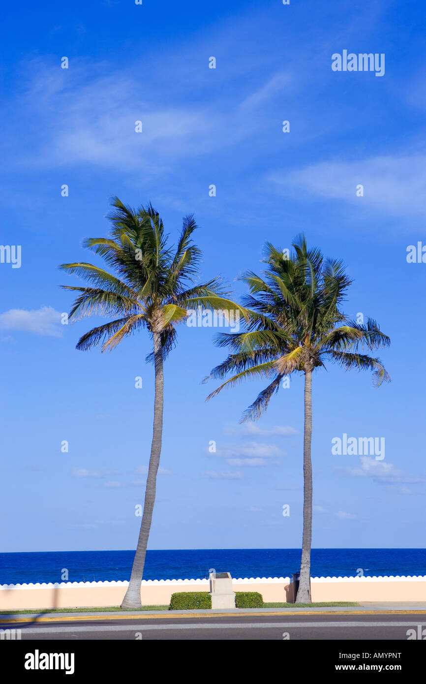 Passeggiata lungo la spiaggia di Palm Beach, Florida, Stati Uniti d'America Foto Stock
