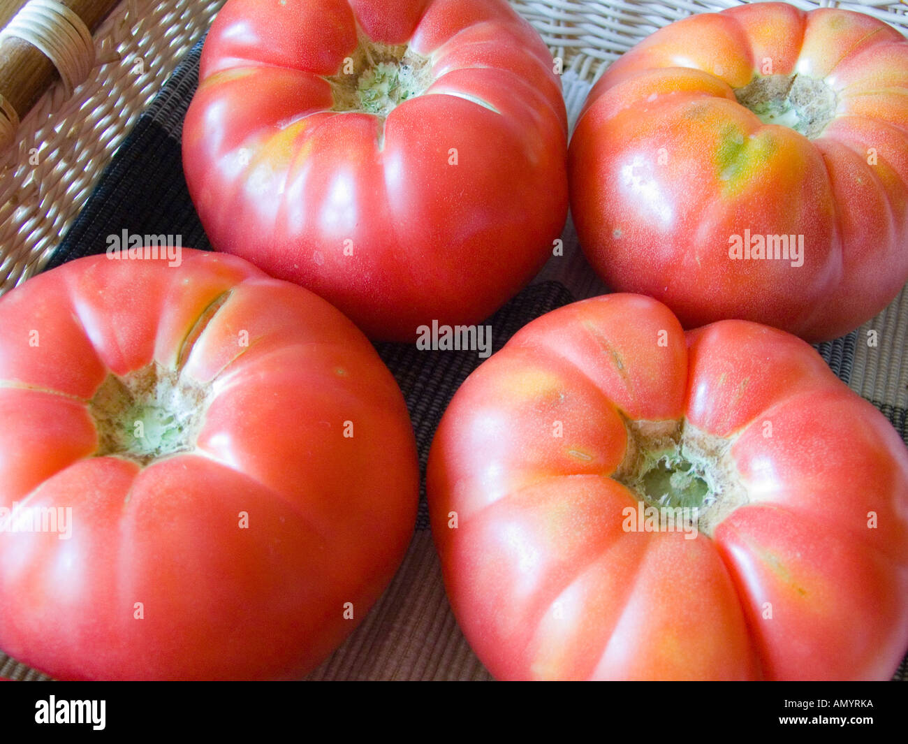 Mature big red organic pomodori Solanum lycopersicum Foto Stock