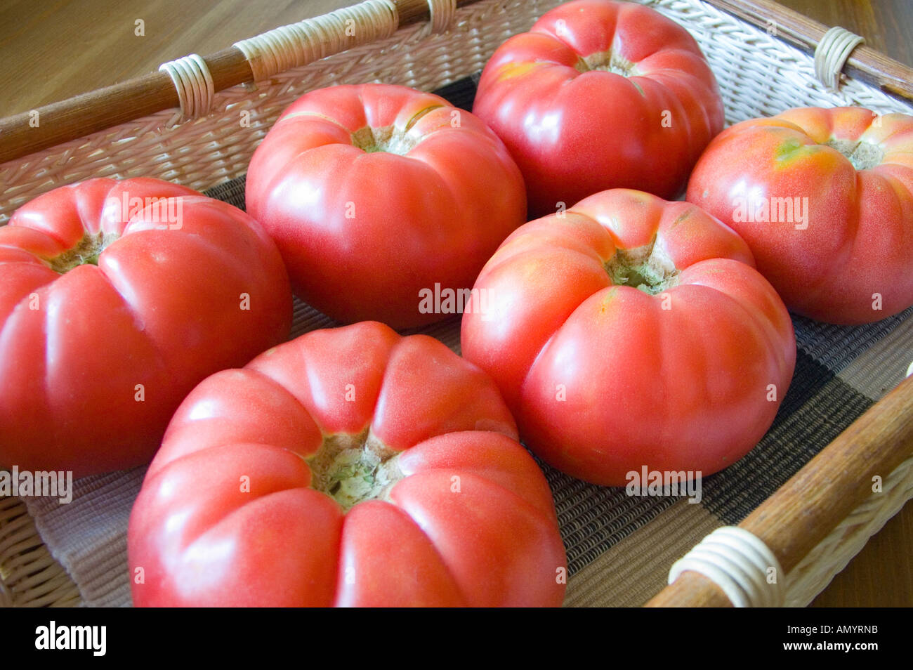 Mature big pomodori nel cestello Solanum lycopersicum Foto Stock