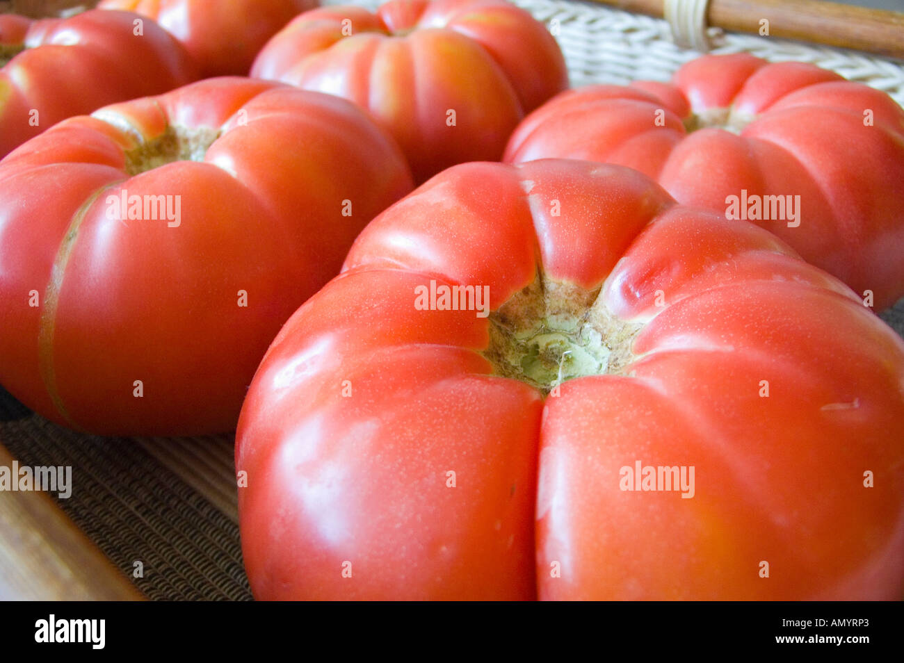 Mature big red organic pomodori Solanum lycopersicum Foto Stock