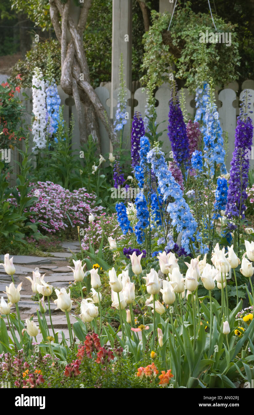 Fiori di Primavera lungo un percorso giardino Georgia Foto Stock