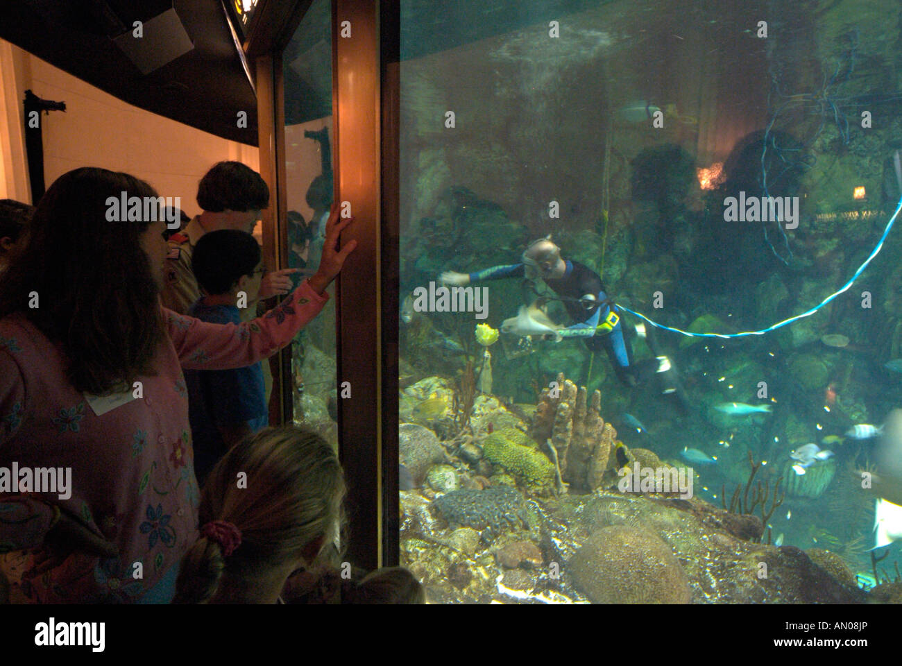 John G. Shedd Aquarium di Chicago è uno di più antica della nazione Foto Stock