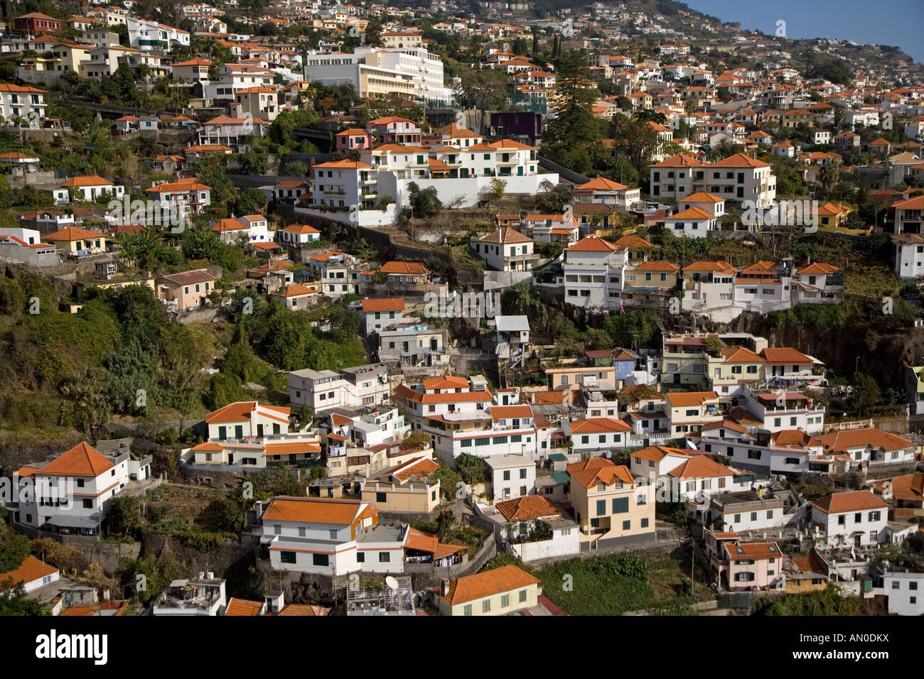 Funchal Madeira Novembre Foto Stock