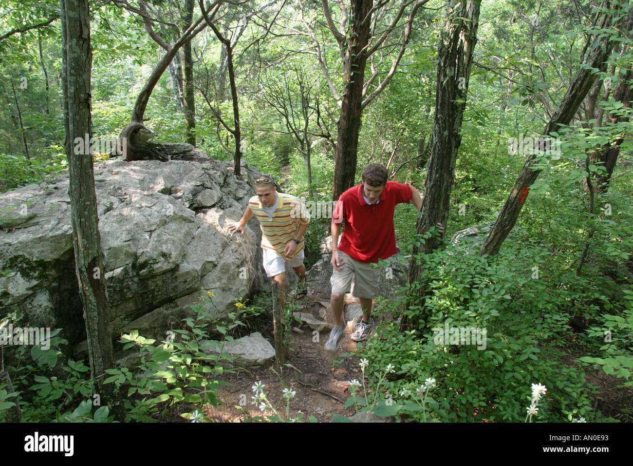 Alabama Madison County, Huntsville, Land Trust sentieri escursionistici, natura, naturale, natura, naturale, paesaggio, campagna, conservazione storica, preserve, alberi, flor Foto Stock