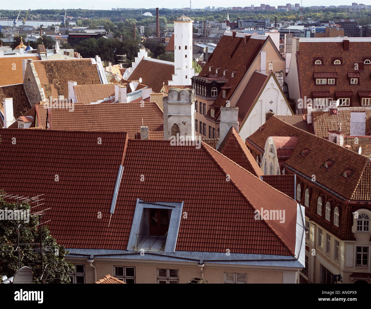 TALLINN REPUBBLICA DI ESTONIA UNIONE EUROPEA Settembre vista sopra i tetti di tutti-linn inferiore della città Foto Stock