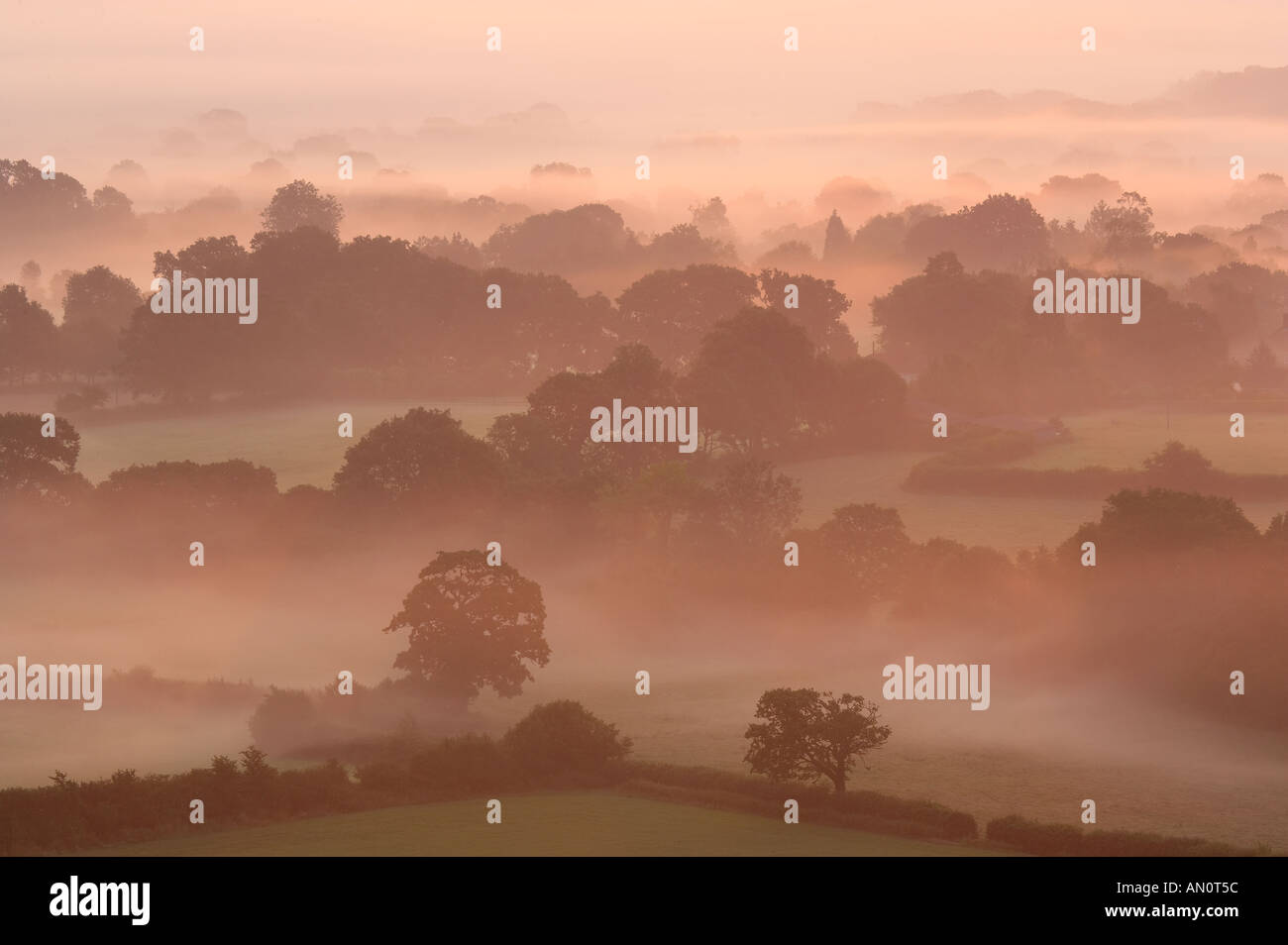 Una nebbiosa alba nella Blackmore Vale da Bulbarrow Hill nr Okeford Fitzpaine Dorset England Regno Unito Foto Stock Una nebbiosa alba nella Blackmore Vale da Bulbarrow Hill nr Okeford Fitzpaine Dorset England Regno Unito Foto Stock