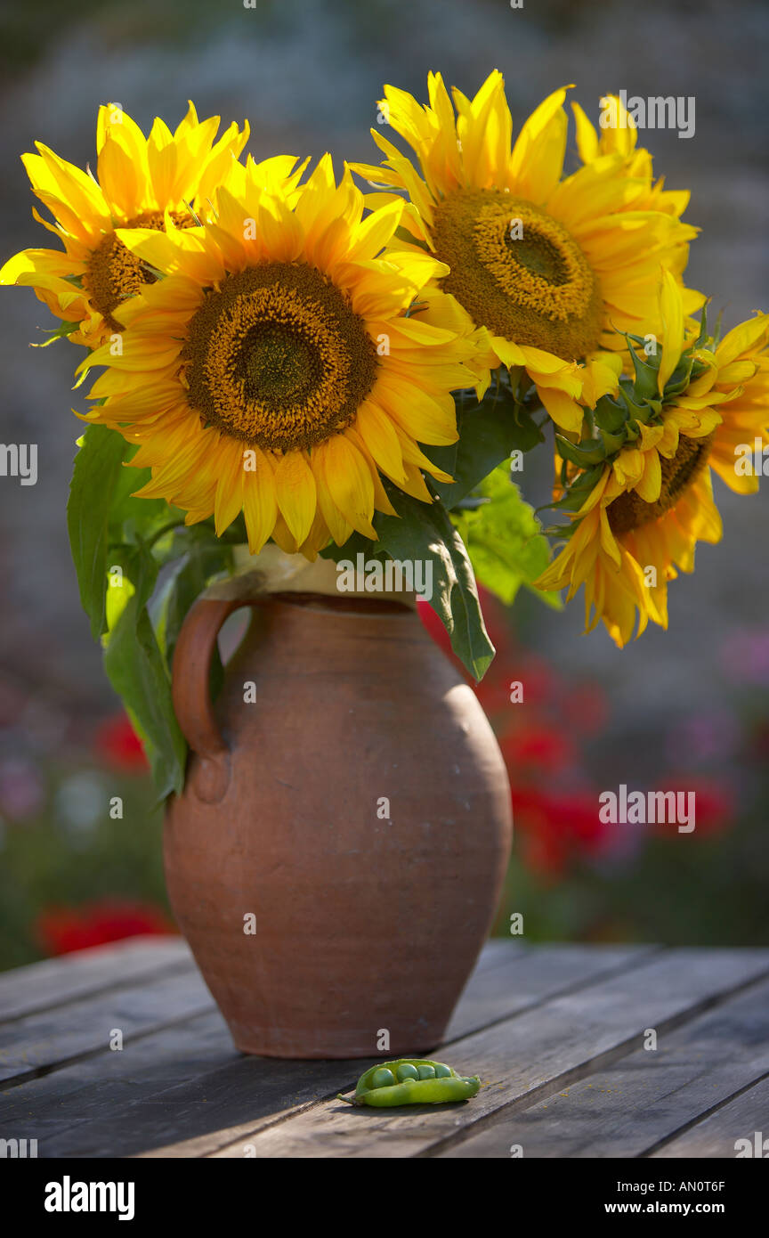 Composizione Dei Girasoli Artificiali in Vaso Di Vetro Isolato Su W  Immagine Stock - Immagine di girasole, oggetto: 47419037