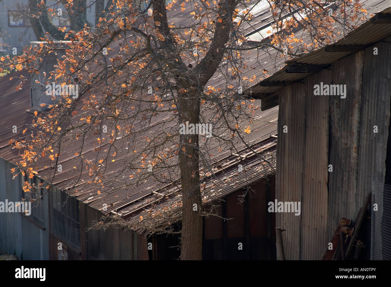 Far convergere le linee del tetto. Foto Stock