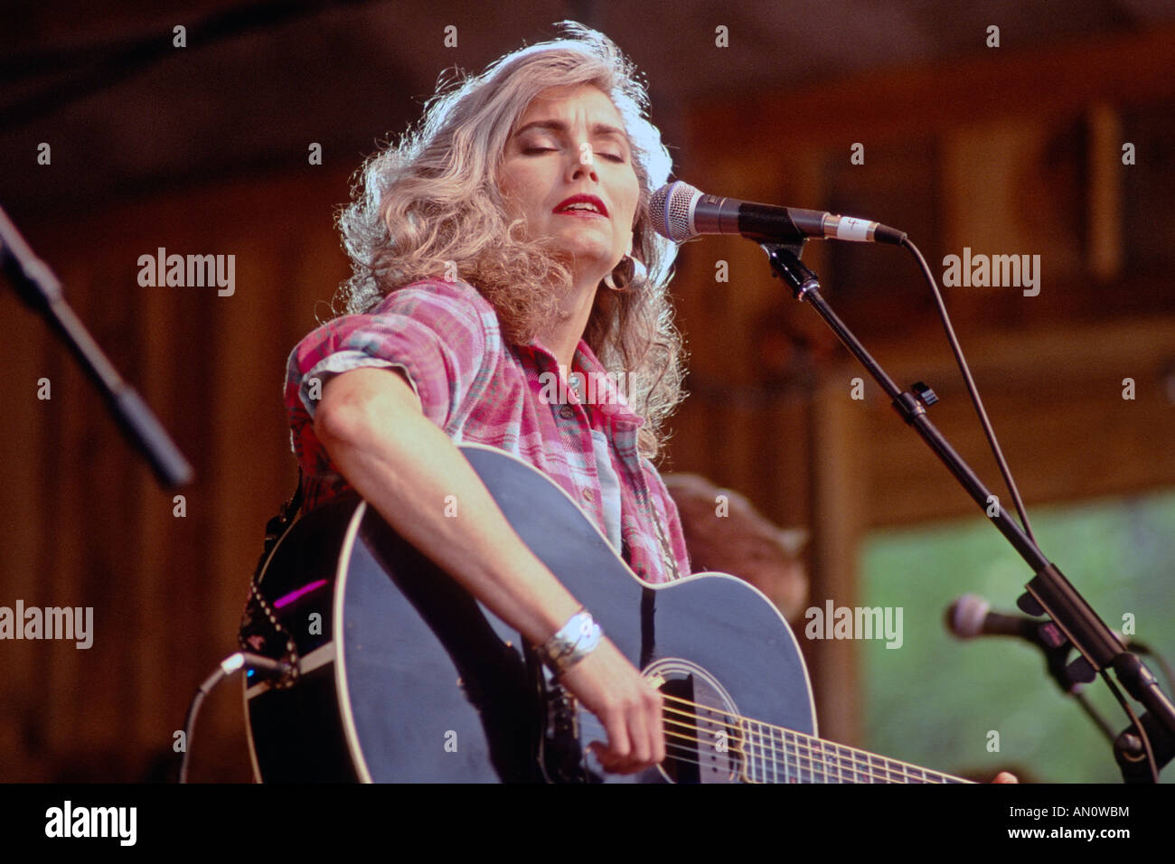 Cantante Country Emmylou Harris effettuando al Merle Watson Memorial festival in Wilkesboro North Carolina USA Foto Stock