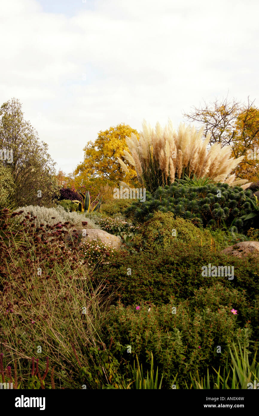 Le erbe e gli arbusti crescono in un autunno giardino secco. RHS HYDE HALL ESSEX. Foto Stock