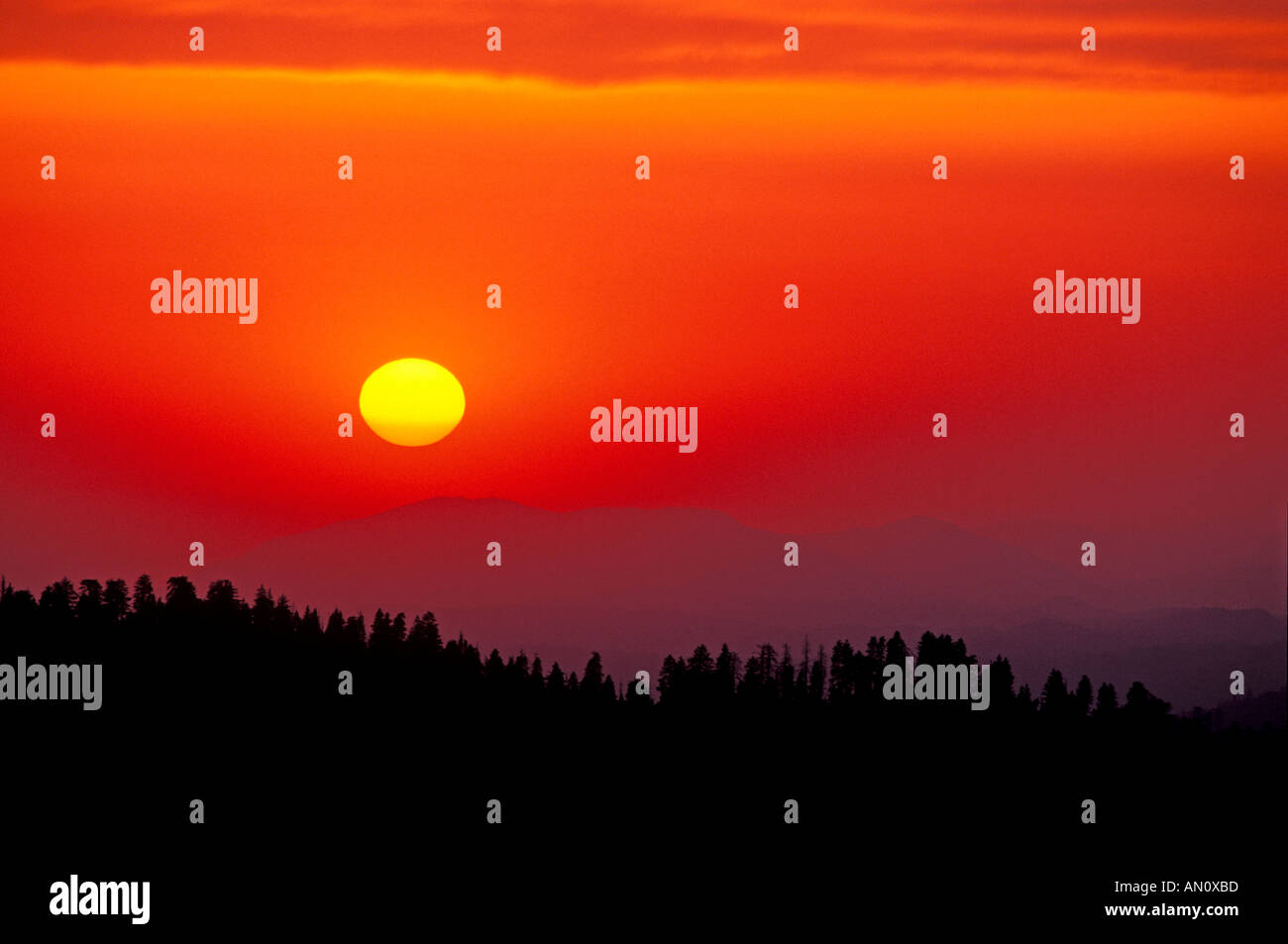 Tramonto sulla Sierra Nevada foothills Dal Moro Rock Foresta Gigante Sequoia National Park California Foto Stock