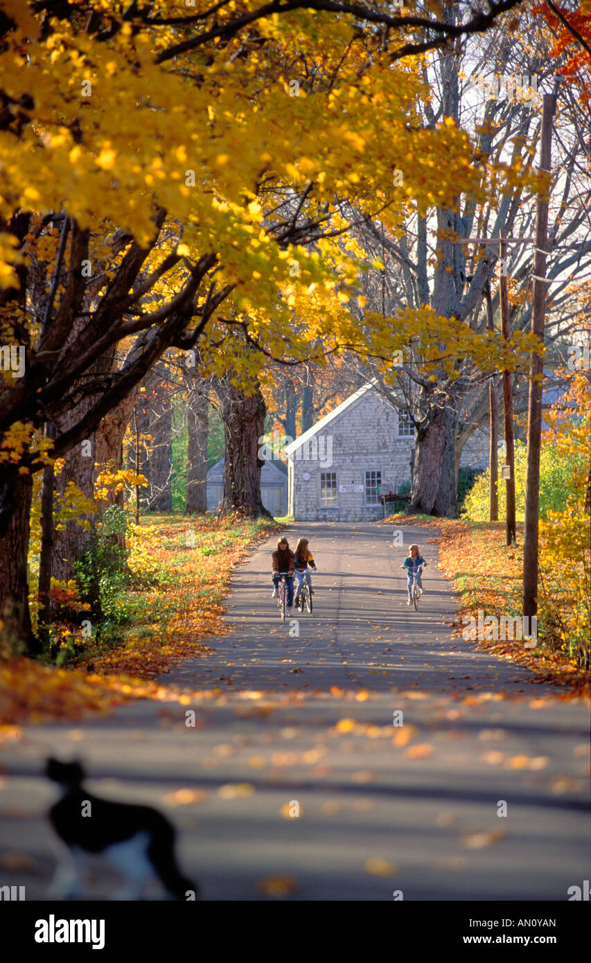I bambini andare in bicicletta fino a vicolo del paese mentre la famiglia gatto attende Foto Stock