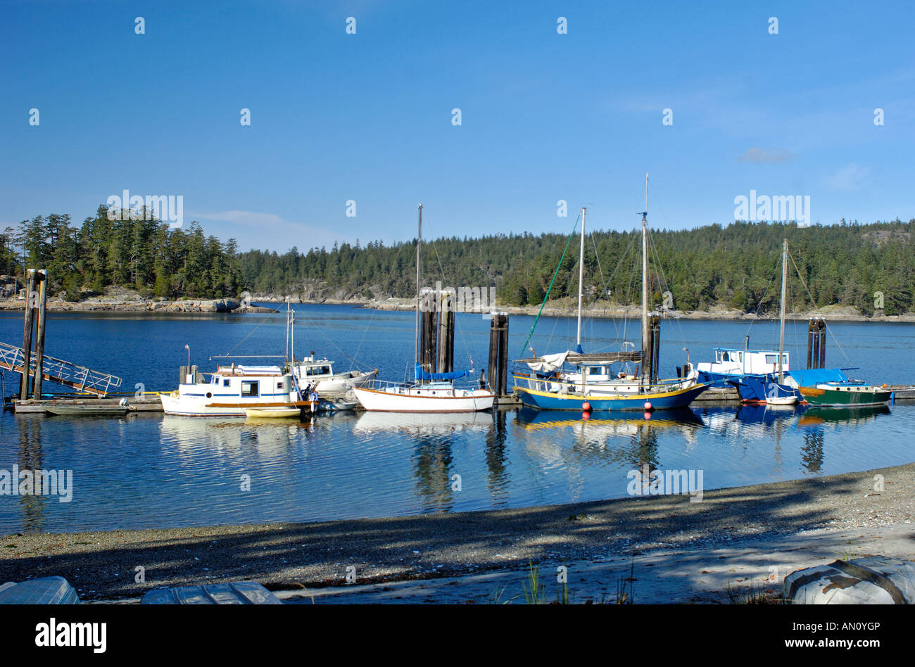 Manson's Landing Cortes Island BC Foto Stock