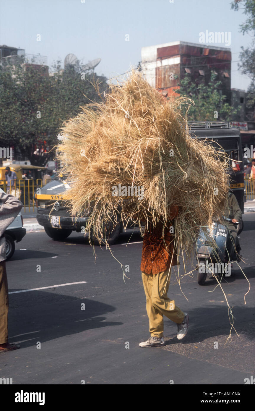 Persona che trasportano grandi quantità di paglia bilanciato sulla loro testa lungo una strada di Delhi. Foto Stock