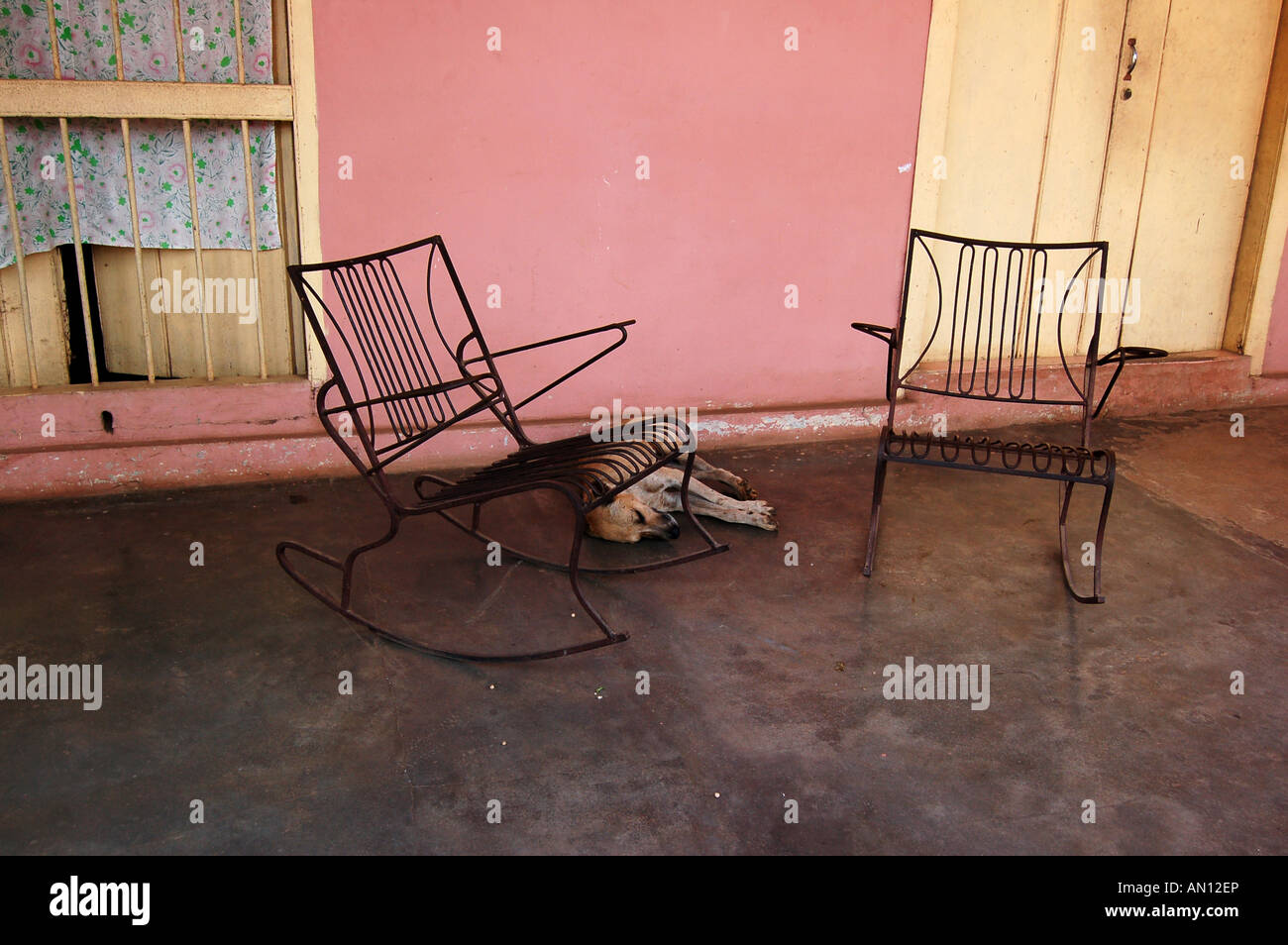 Cane in appoggio al di fuori di una casa rosa a Cuba Foto Stock