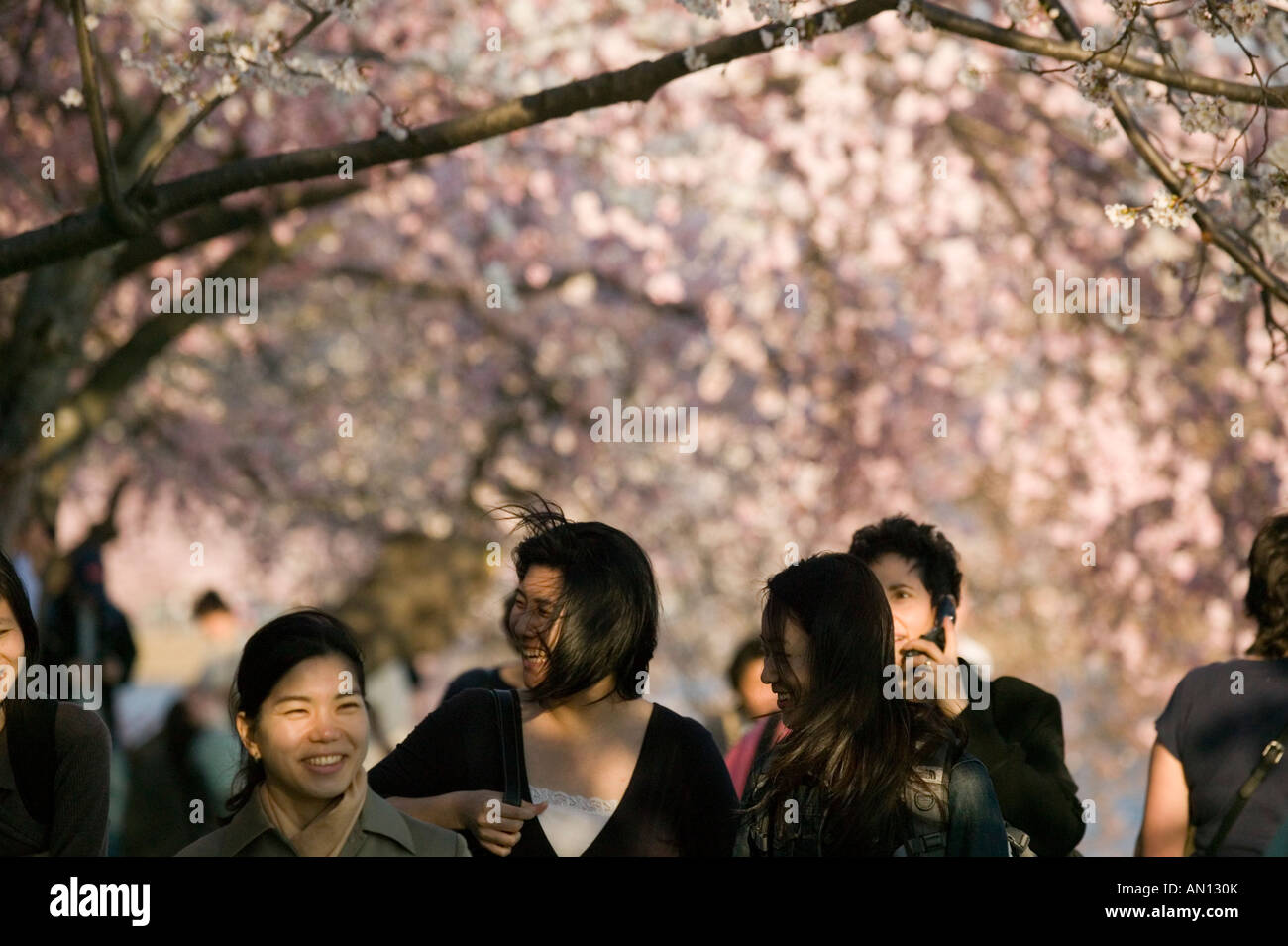 Donne asiatiche godere di ciliegia giapponese albero blossom festival che circonda Tidal Basin Washington DC e Distretto di Columbia Foto Stock