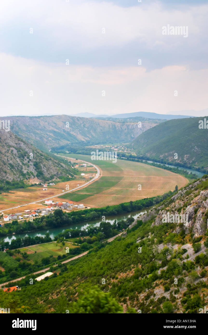 Una vista sui vigneti piantati in pianura lungo il fiume Neretva, in Mostar Citluk regione vicino al villaggio Zitomislici, con suggestive montagne che incorniciano la valle. Federazione Bosne i Hercegovine. La Bosnia Erzegovina, l'Europa. Foto Stock