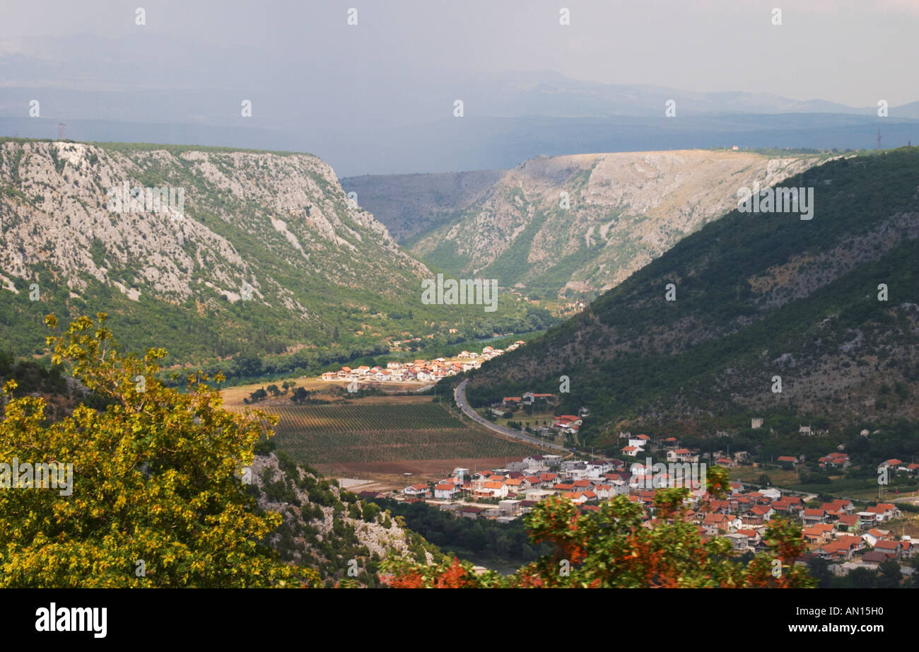 Una vista sui vigneti piantati in pianura lungo il fiume Neretva, in Mostar Citluk regione vicino al villaggio Zitomislici, con suggestive montagne che incorniciano la valle. Zitomislici a fondo. Federazione Bosne i Hercegovine. La Bosnia Erzegovina, l'Europa. Foto Stock