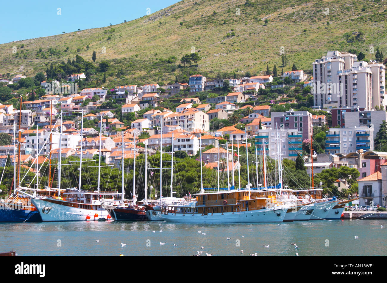 Più belle di crociera in legno, barca a vela e barche da pesca di navi Barche dipinte di bianco ormeggiate lungo che la chiave nel porto. Edifici moderni slitta verso la collina. Luka porto di Gruz. Dubrovnik, città nuova. Costa della Dalmazia, Croazia, Europa. Foto Stock