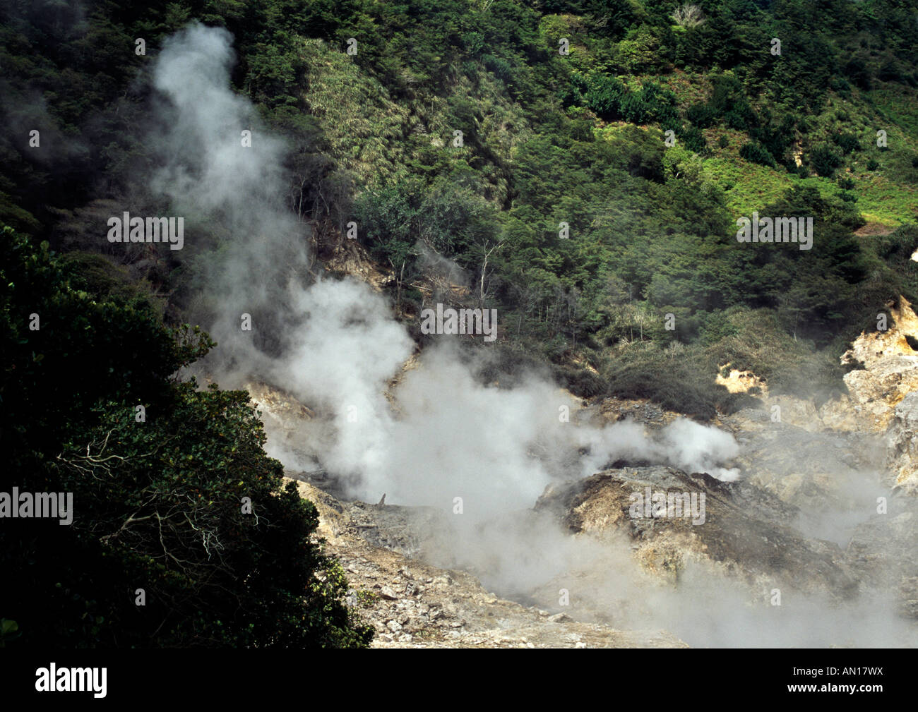 Vapore vulcanico che salgono dal terreno, dei Caraibi Foto Stock
