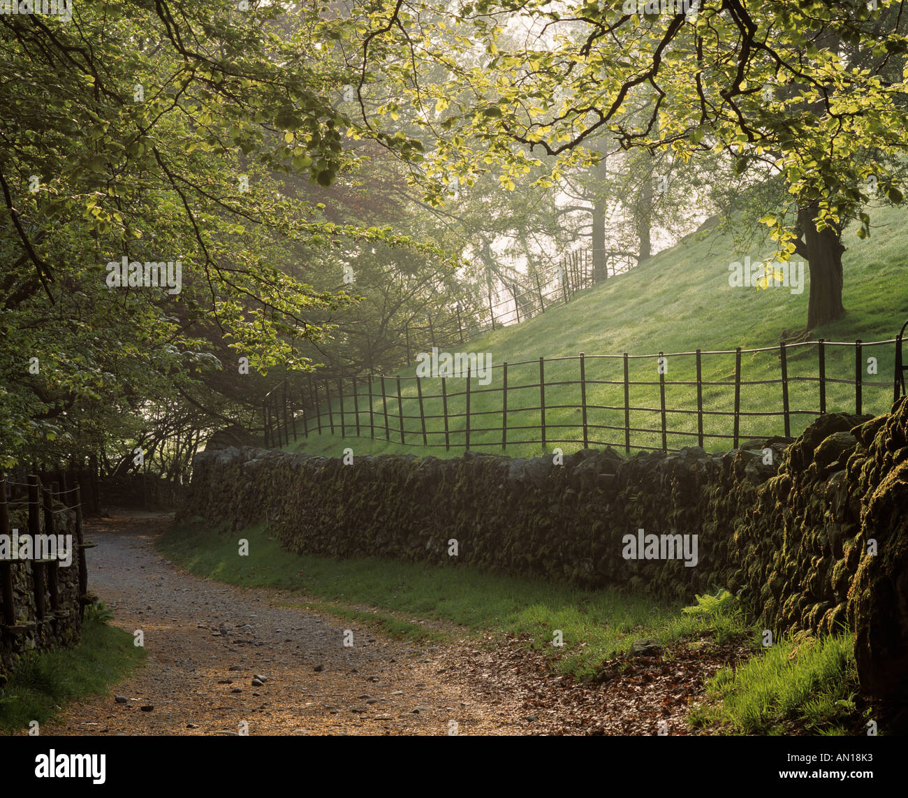 Via passato boschi sopra Grasmere Parco Nazionale del Distretto dei Laghi Cumbria Inghilterra England Regno Unito Foto Stock