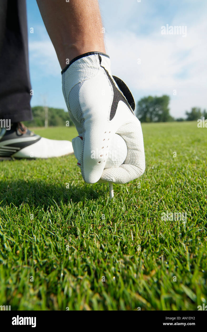 Golf Golf Golfsport, close-up di una pallina da golf su un raccordo a T sul greenfee Foto Stock