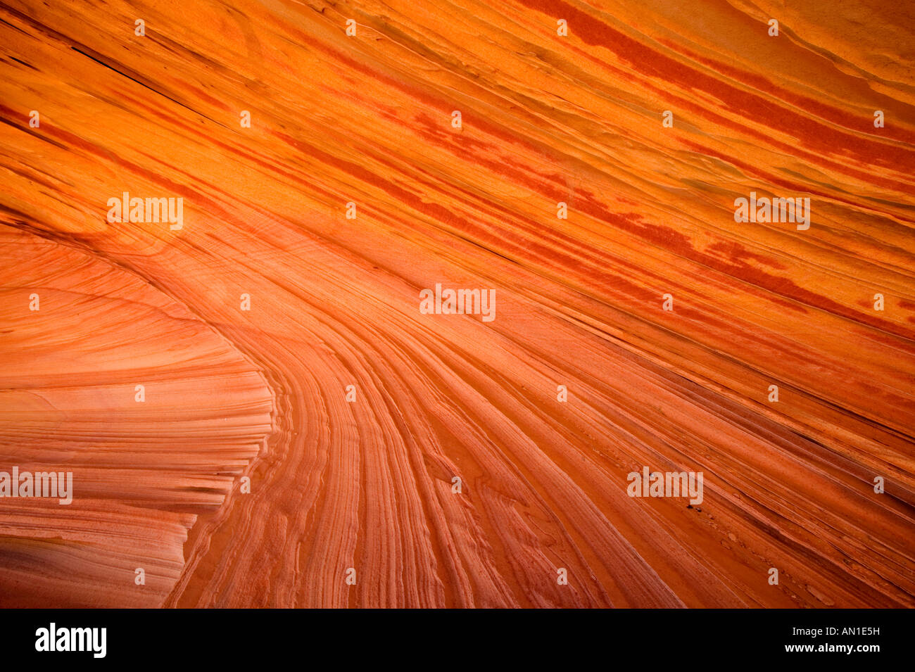 Sud Coyote Buttes, erosi in pietra arenaria, USA Utah e Arizona, Paria Canyon, Vermilion Cliffs Wilderness Area Foto Stock