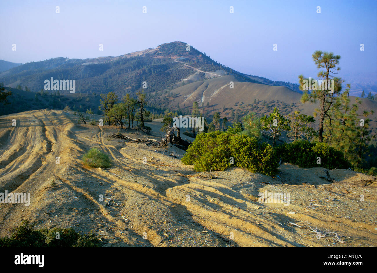 California sporco della pista nel tardo pomeriggio la luce Foto Stock