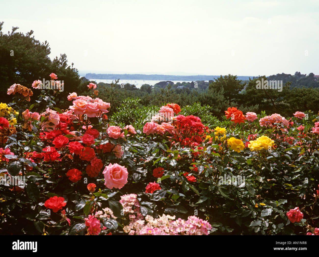 Il Dorset il porto di Poole e Brownsea Island da Compton Acres Foto Stock