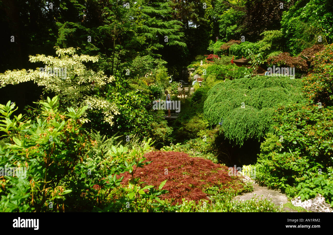 Il porto di Poole Dorset Compton Acres il giardino giapponese Foto Stock