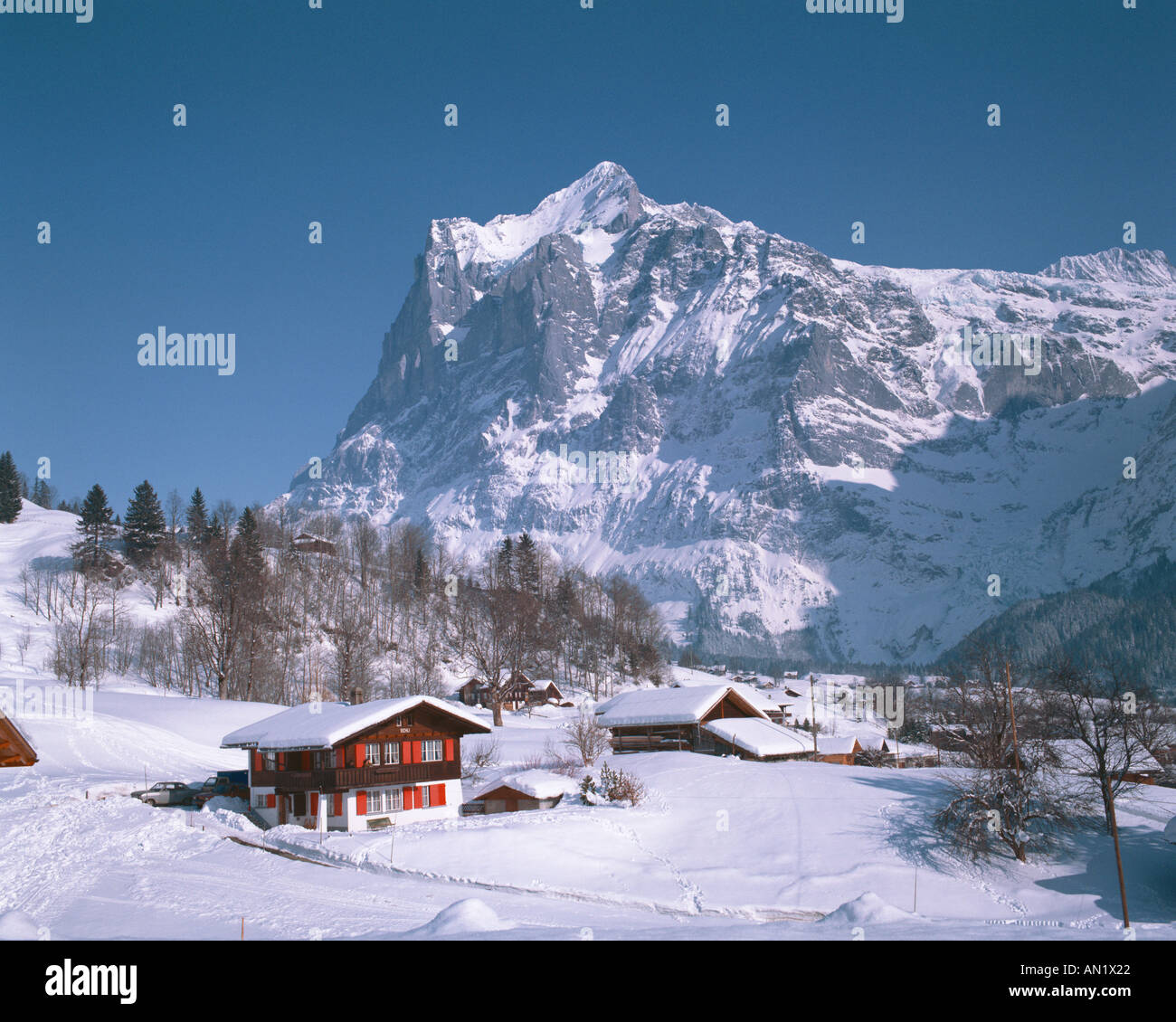 Grindelwald in Svizzera Foto Stock