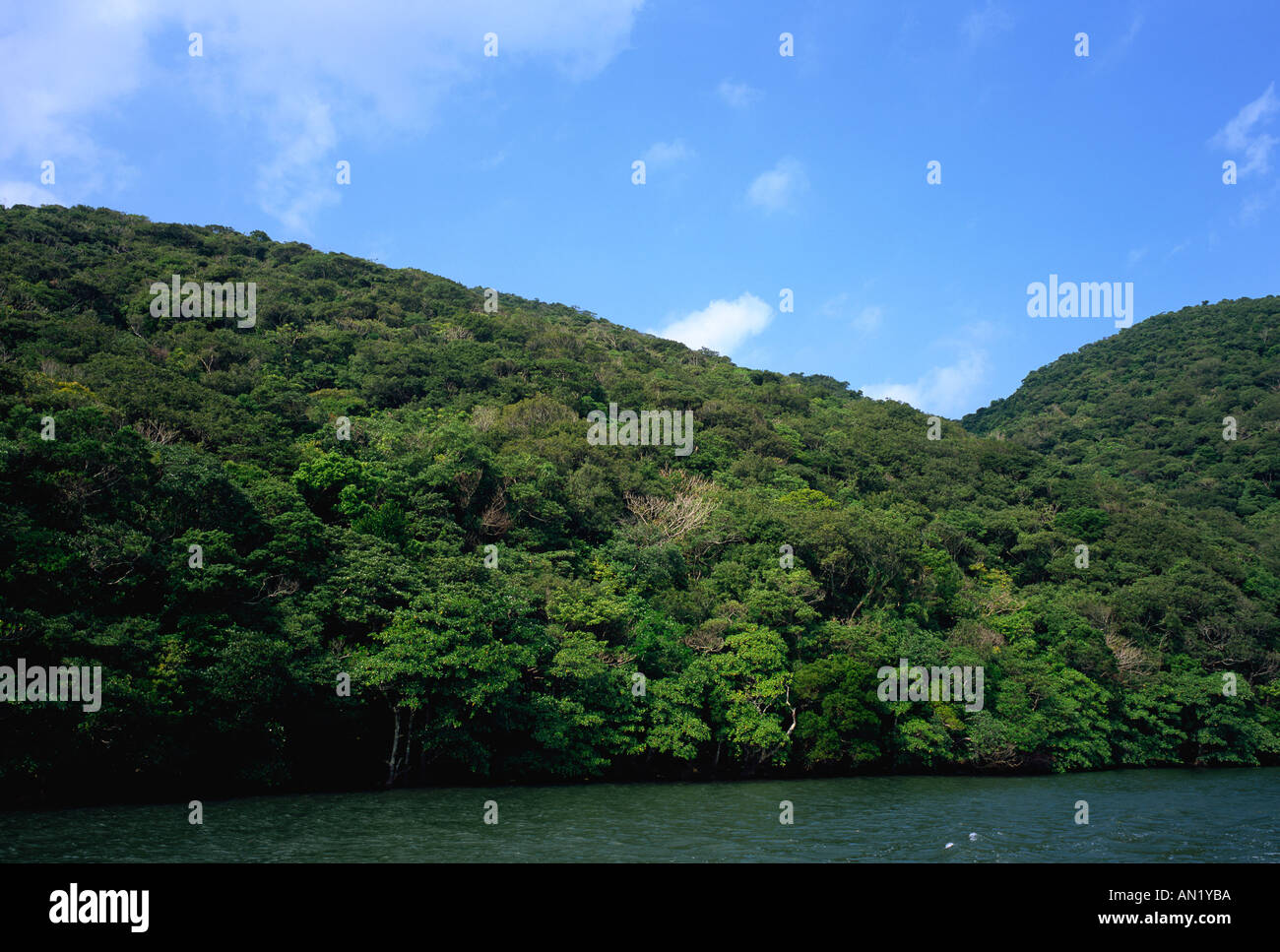 Isola di Iriomote Okinawa in Giappone Foto Stock