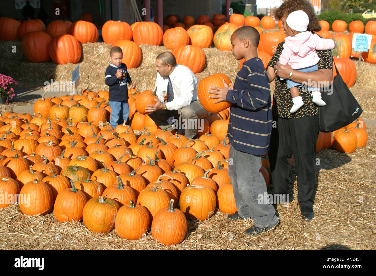 Raleigh North Carolina, state Farmers Market, Farmer's, Farmers', frutta, verdura, cibo, prodotti, bancarelle stand venditori, tradizione, mar Foto Stock
