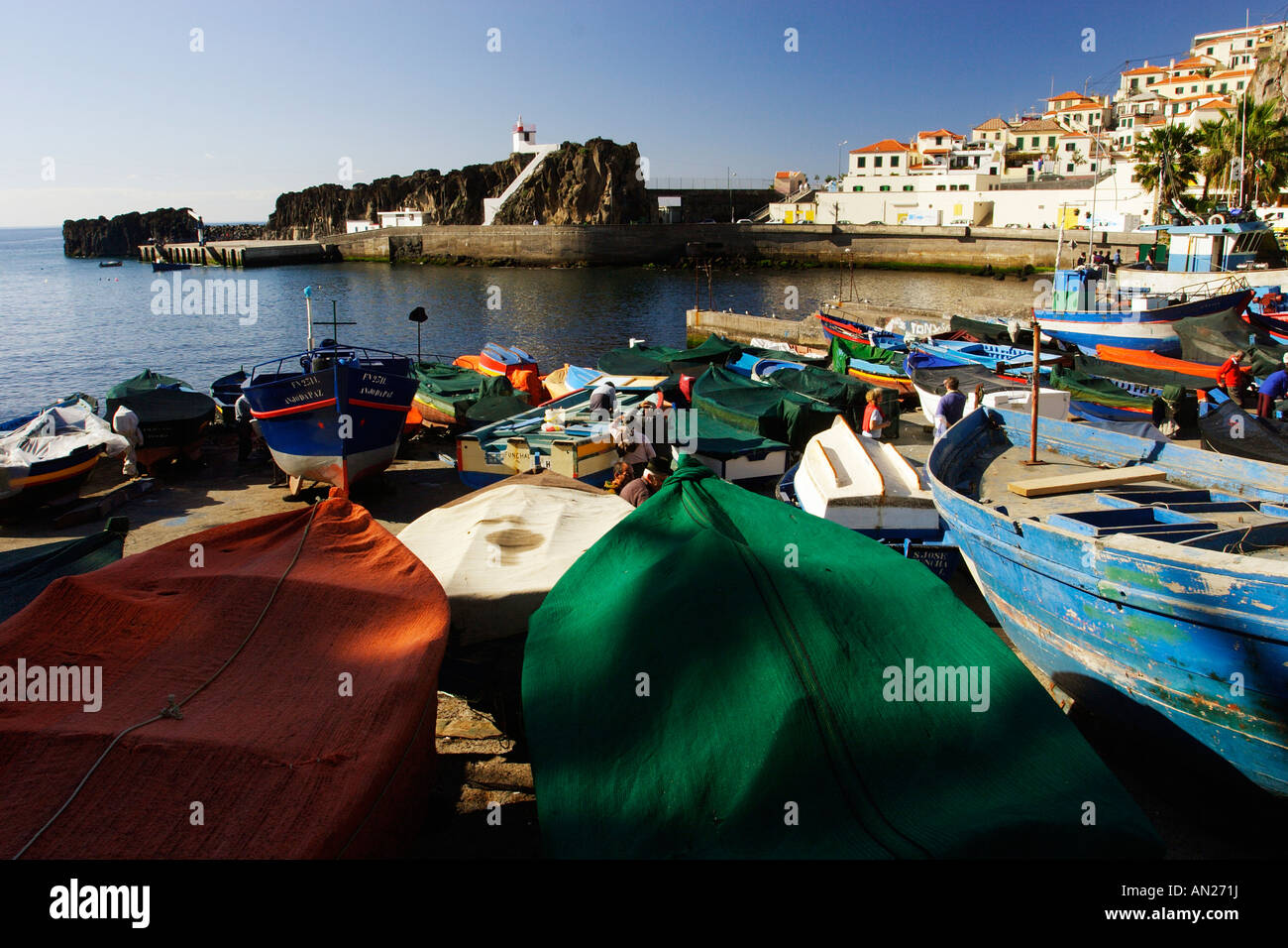 Portogallo Madeira Fischerboote am Hafen von Camara de Lobos Foto Stock