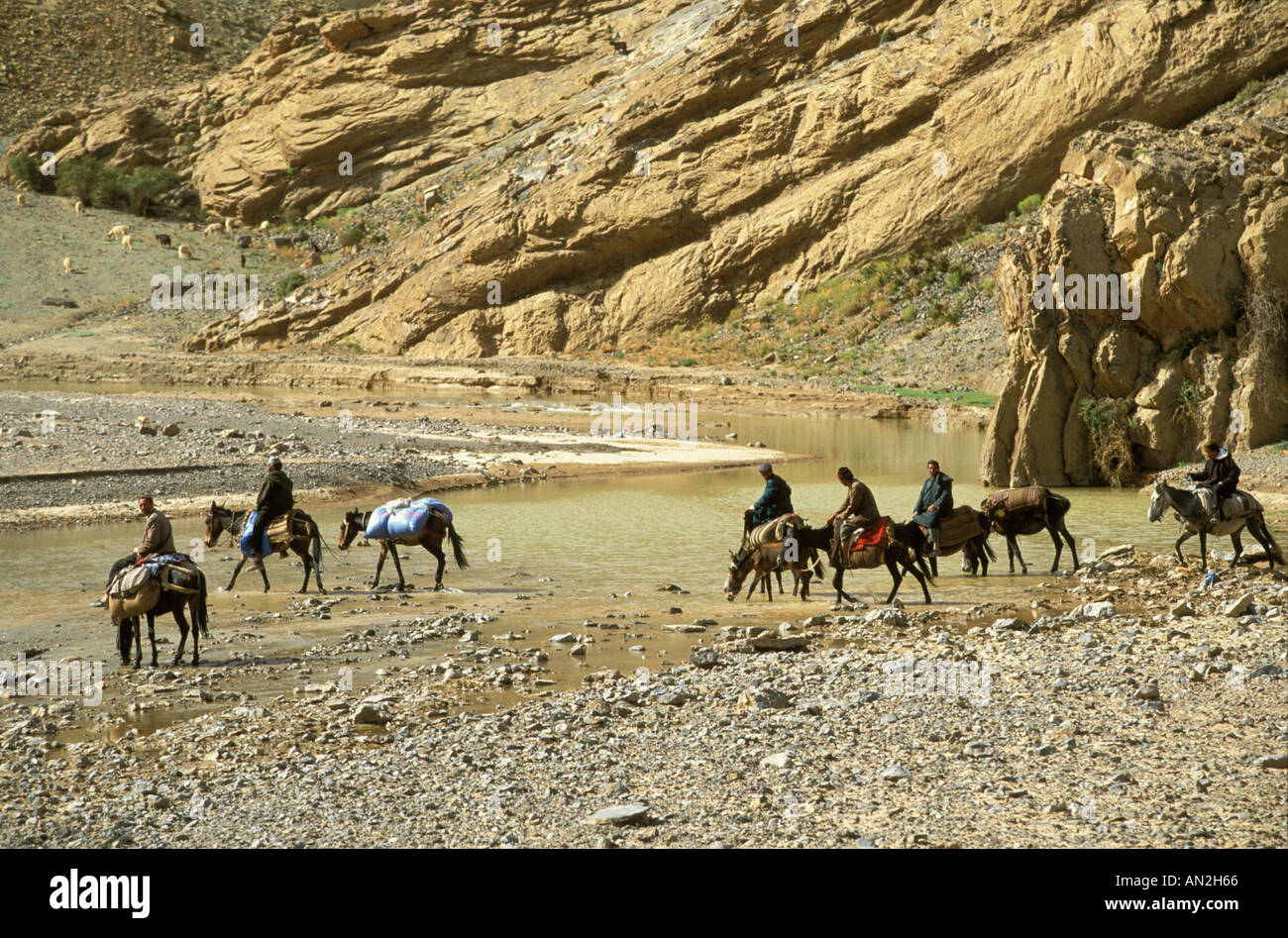 Una carovana guada il Assif Melloul fiume in Alto Atlante del Marocco sul loro modo al Imilchil Brides Fair Foto Stock