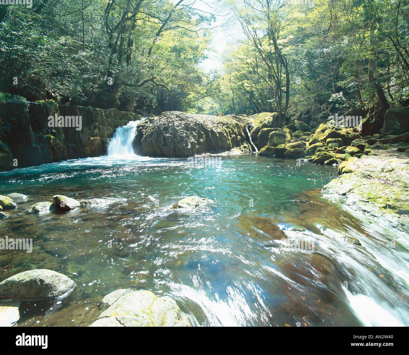 Flusso di foresta Giappone Foto Stock