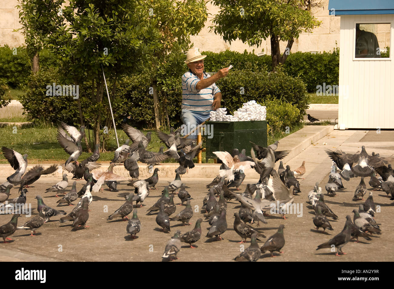 Uomo anziano alimentando i piccioni nel parco di Atene Grecia scene di strada Foto Stock