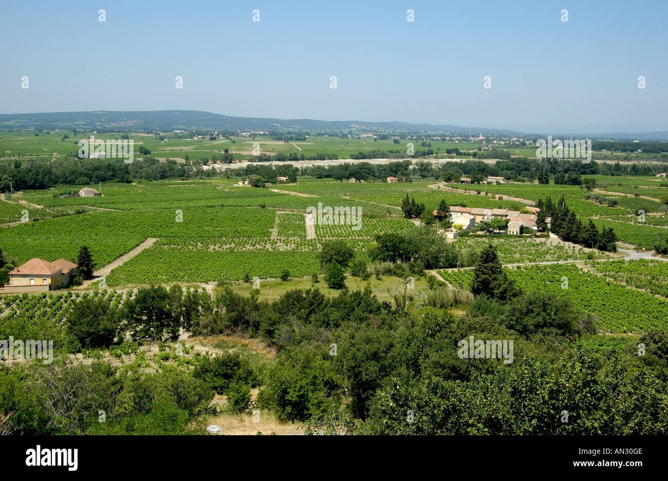 Cotes du Rhone. Il vino francese. Provenza. Francia Foto Stock