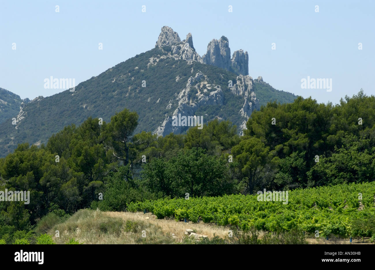 Dentelle de Montmirail vaucluse . Cotes du Rhone. Il vino francese Foto Stock